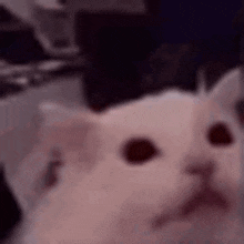 1747350440893.gif