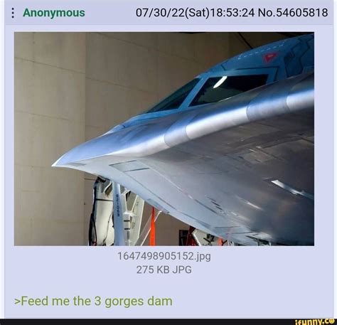 1747453057995.jpeg