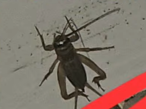 1747974056206.png