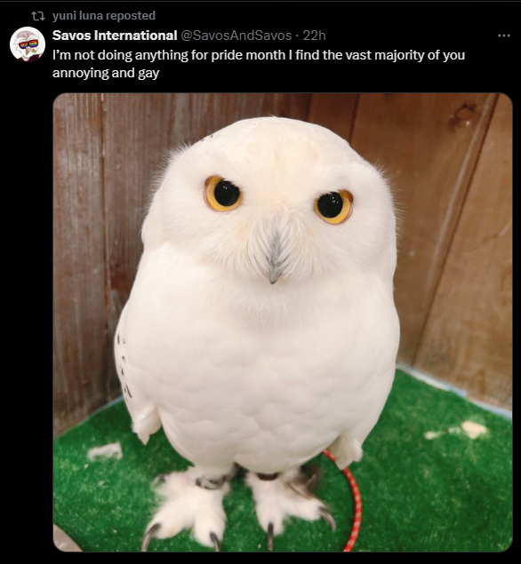 1748855885760.png