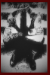andoutcomethefeelsemote.PNG