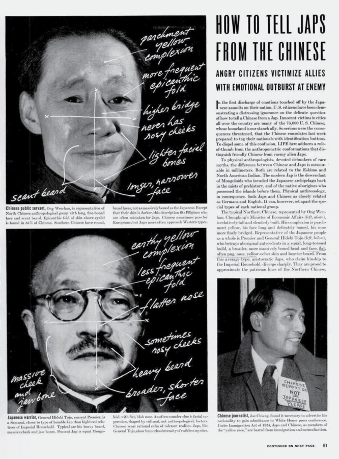 article06_large-13.jpg