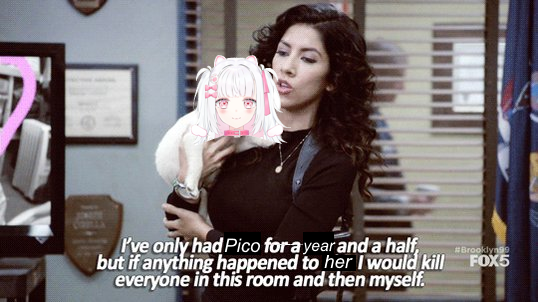 I've Only Had Pico For a Year and a Half.png