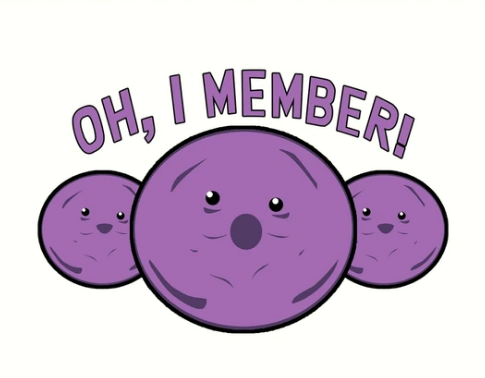 member.PNG