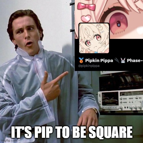 pip2bsquare.jpg