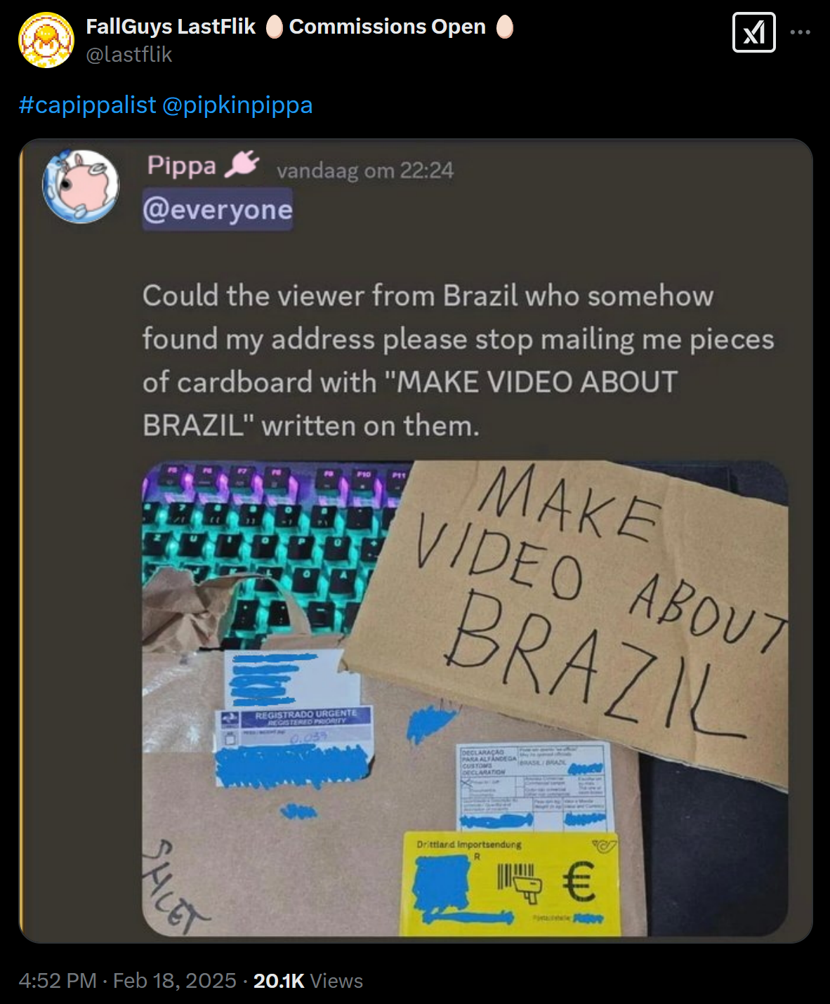 pippa make video about brazil.png