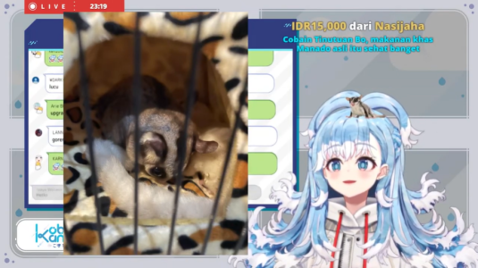 A FUCKING SUGAR GLIDER.PNG