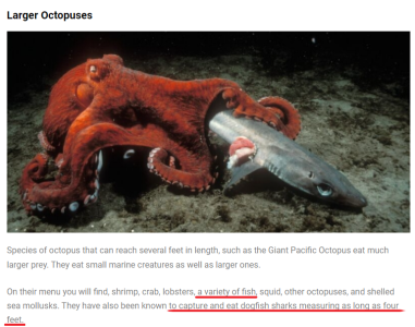 large_octopus_diet.PNG