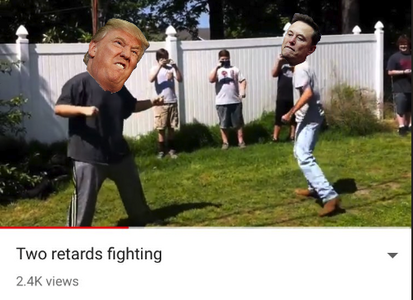 trump vs elon.png