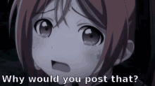 rapidtulip647-rt6.png