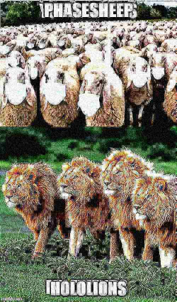 sheep.png
