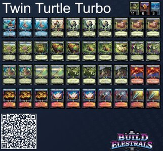 Twin Turtle Mari.jpg