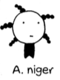 1000041606.png