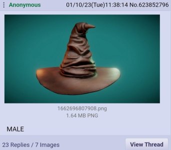 based sorting hat.jpg