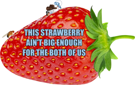 High Berry.png