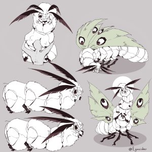 fluffy moth.jpg