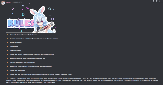 discord nano rules.png