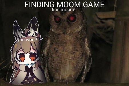 Finding Moom by @koyonept_u.jpg