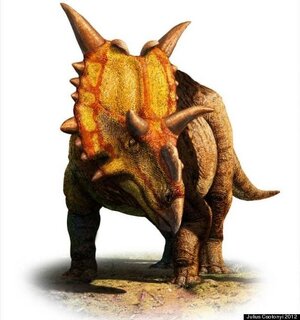 XENOCERATOPS.jpg