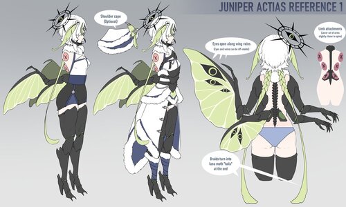 Juniper New Ref 1.jpg