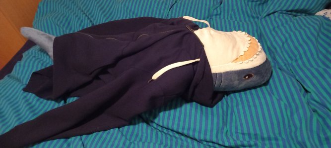 Illegal swedish Gura dakimakura.jpg