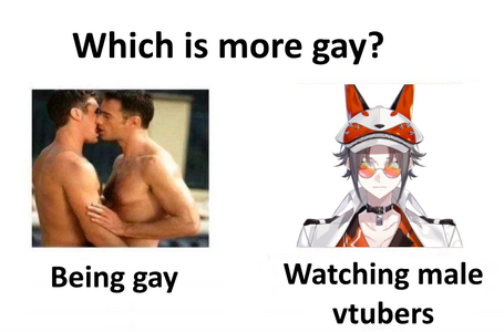 Which is more gay.png