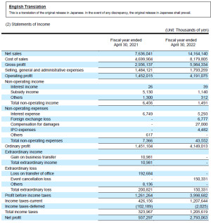 Anycolor_2022_income_statement-exif-remove.png