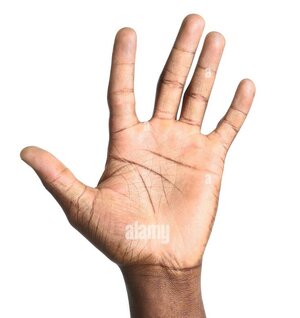 hand-of-african-american-man.jpg