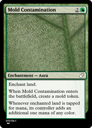 Mold Contamination.png