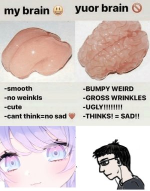 amibrain.jpg