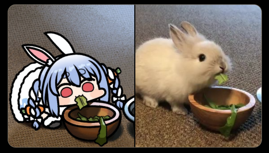 salad peko by @JAZZ_JACK_KHT.png