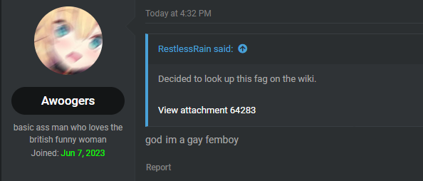 Gay femboy.png