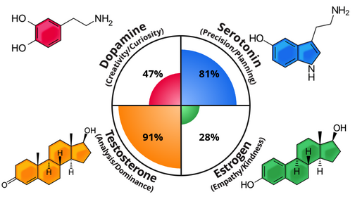 brain-chemistry.png