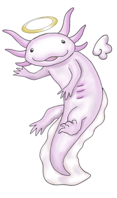 PhaseRPG_HermeticAxolotl_V2.png