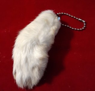 lucky-rabbits-foot.jpg