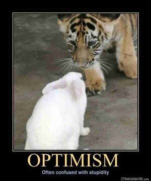 optimism-610x730-2760843285 - Copy.jpg