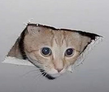 Ceiling_Cat_edit.png