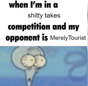 MerelyTourist.png