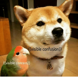 visible-confusion-visible-concern-18112414.png