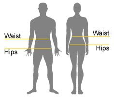 hip vs waist.png