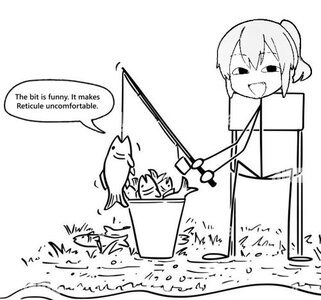 reticule_fishing.jpg