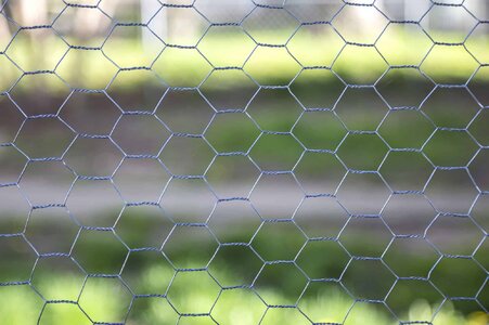 Chicken-wire-for-dog-fence.jpg