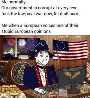 europeanopinions.png