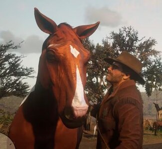 red-dead-redemption-2-horse.jpg