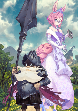 don-quixote-from-fate-grand-order-v0-9ue1nstnpc4e1.png