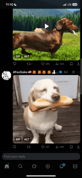 IMG_3650.png