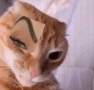 1746577467807.png