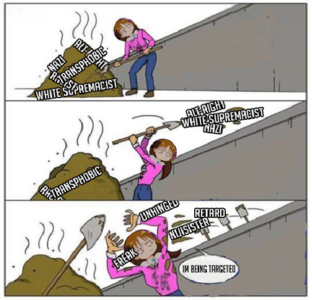 1746827124276.png