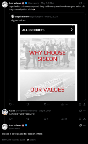 1747125120628.png