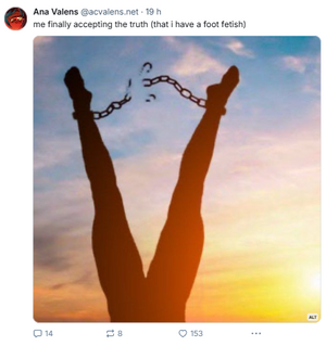 1747335492788.png